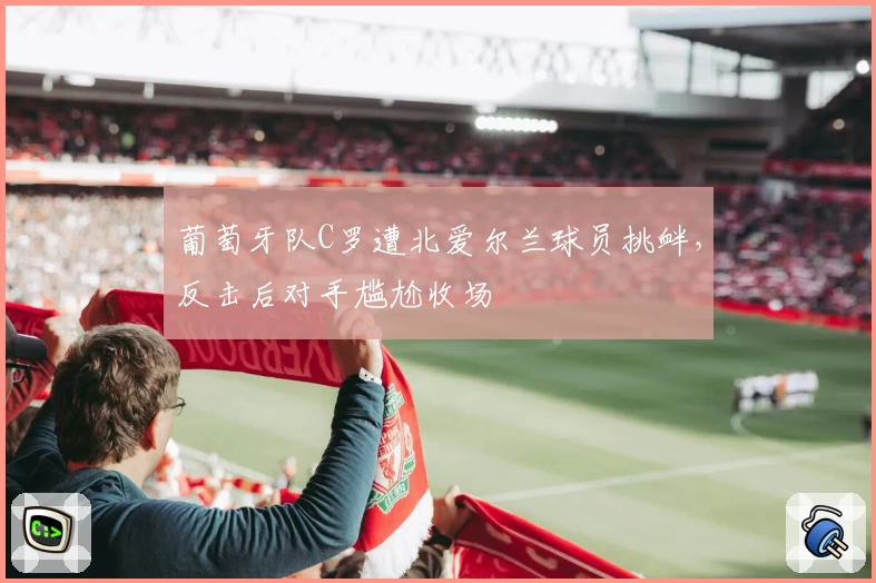 葡萄牙队C罗遭北爱尔兰球员挑衅，反击后对手尴尬收场