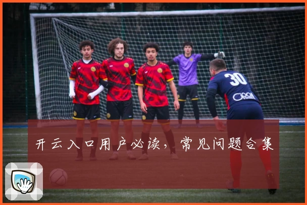 开云入口用户必读，常见问题合集