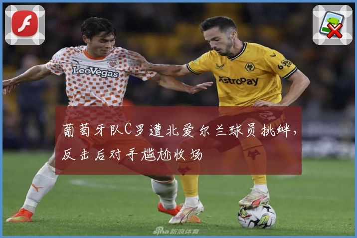 葡萄牙队C罗遭北爱尔兰球员挑衅，反击后对手尴尬收场