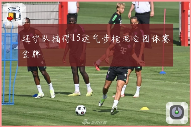 辽宁队摘得15运气步枪混合团体赛金牌